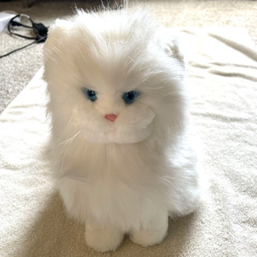 Dakin Princess Persian kitten-NWT-white-blue eyes-pink includes brush